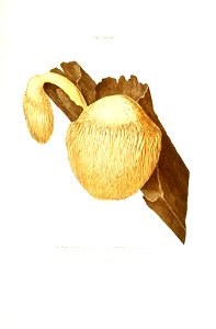n564_w1150