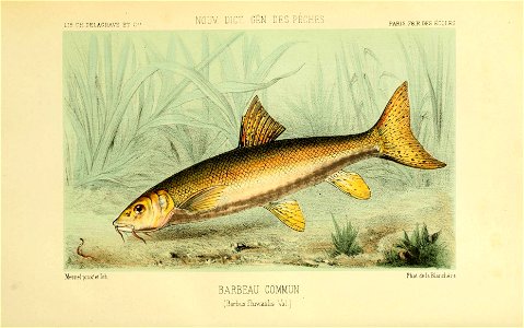 n105_w1150