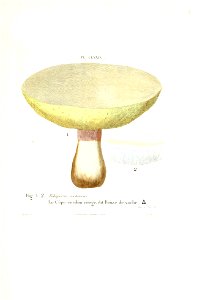 n534_w1150