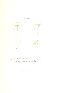 n384_w1150