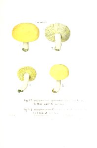 n324_w1150