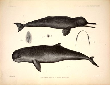 n94_w1150