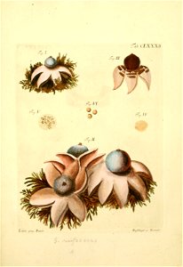 n408_w1150