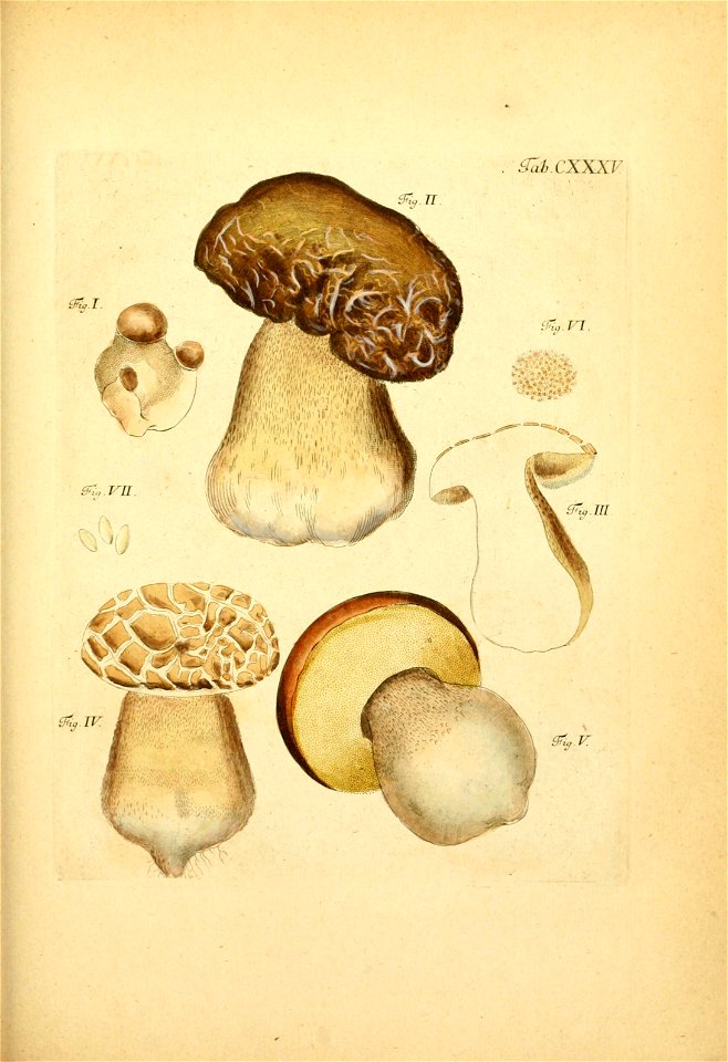 n358_w1150