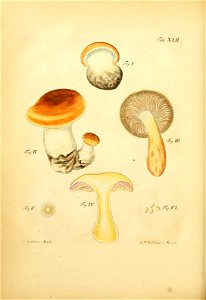 n155_w1150