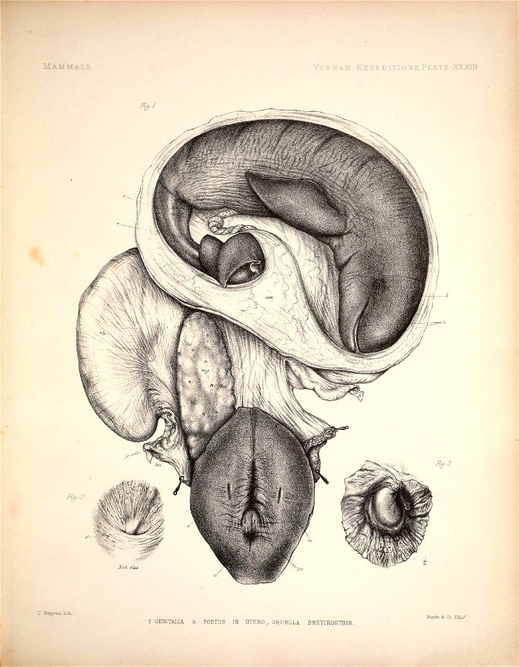 n112_w1150