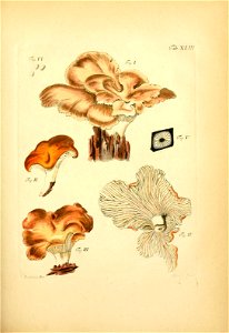 n156_w1150