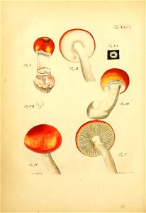 n141_w1150