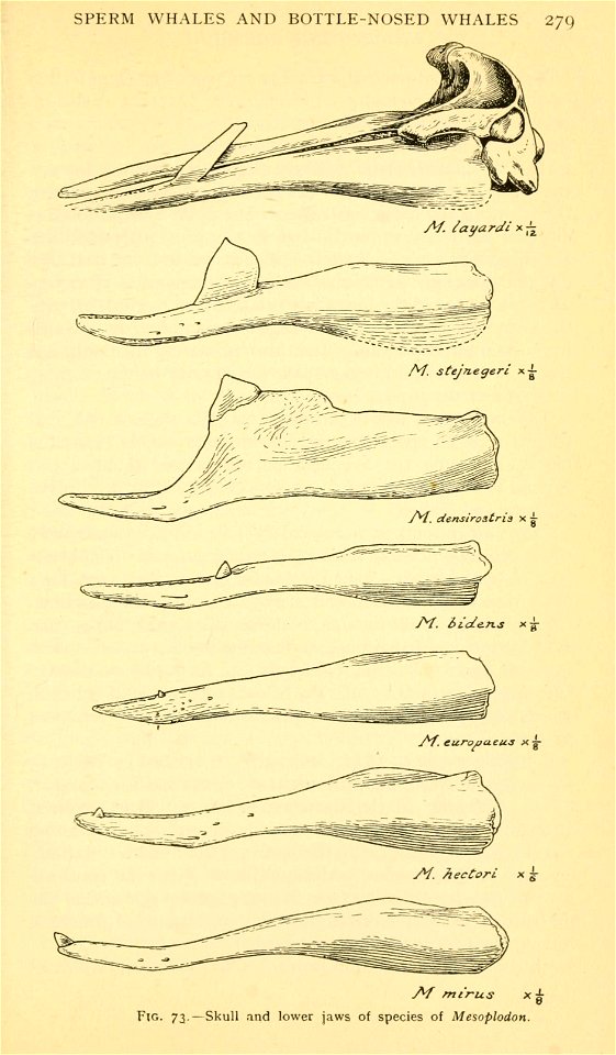 n308_w1150