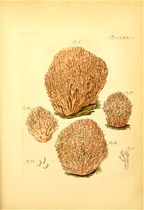 n402_w1150