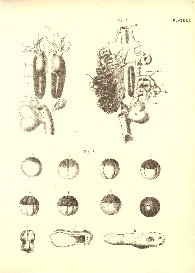 n118_w1150