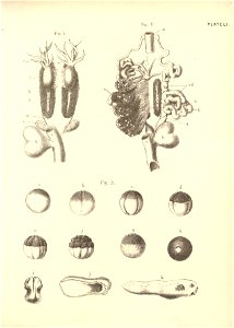 n118_w1150