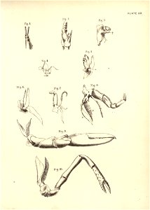 n56_w1150