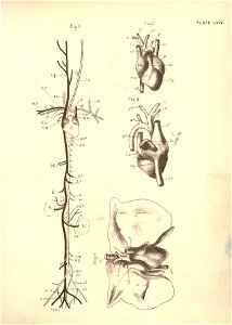 n144_w1150
