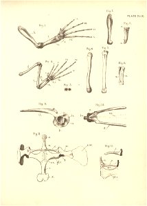 n114_w1150