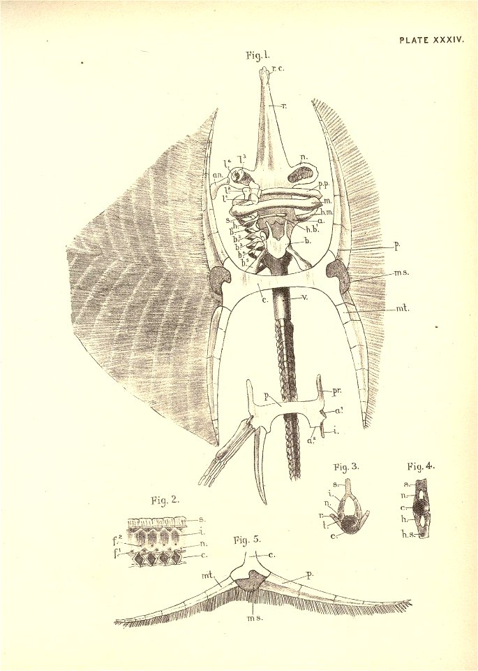 n84_w1150