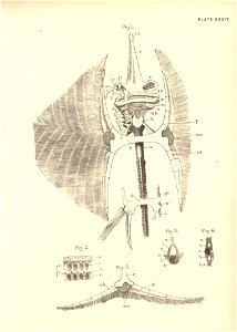 n84_w1150