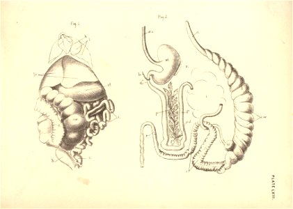 n142_w1150