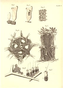 n20_w1150