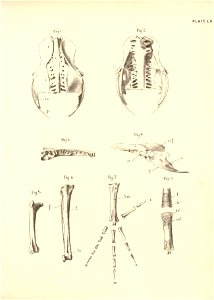 n136_w1150