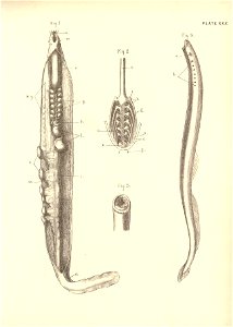 n76_w1150