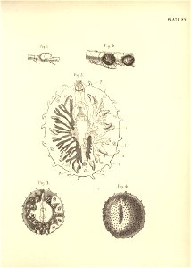 n46_w1150