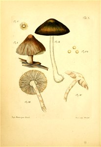 n123_w1150
