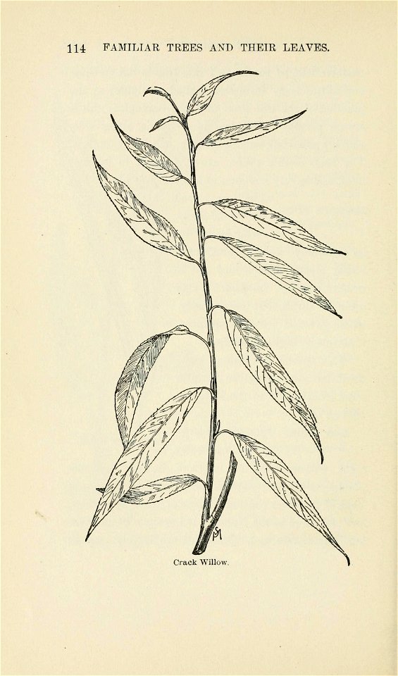 n151_w1150