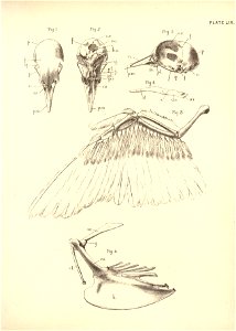 n134_w1150