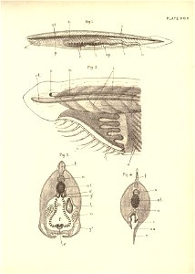 n74_w1150