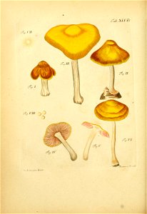 n161_w1150