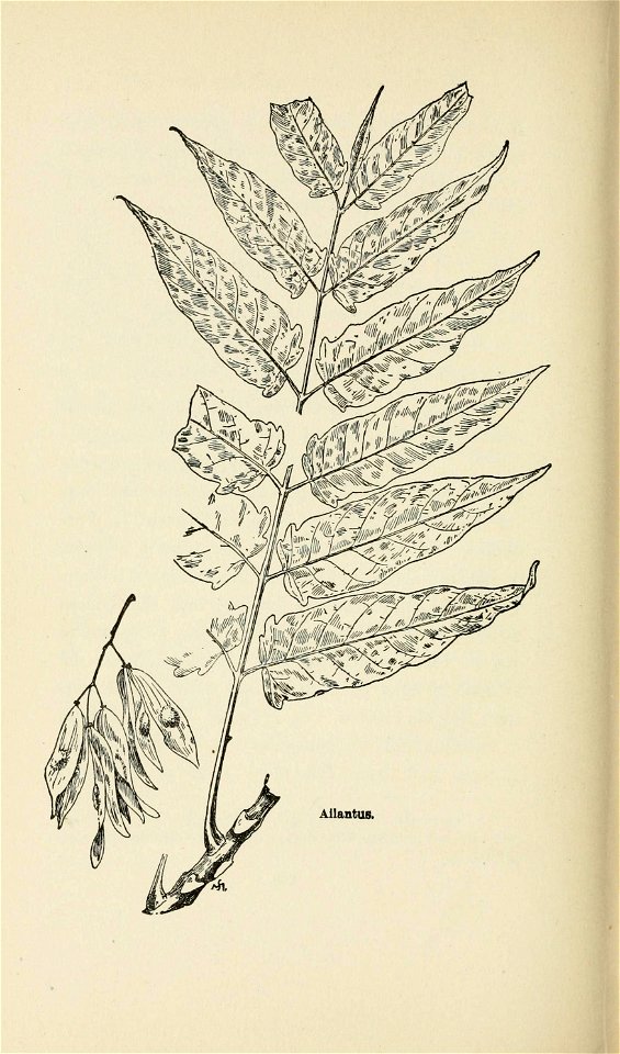 n251_w1150