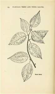 n115_w1150