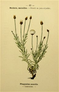 n138_w1150