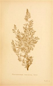 n136_w1150