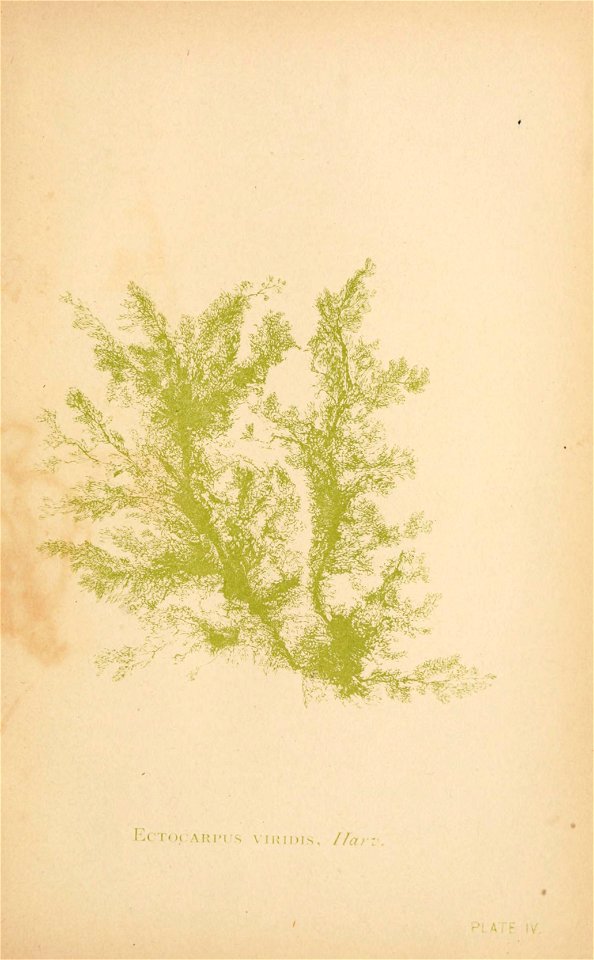 n118_w1150