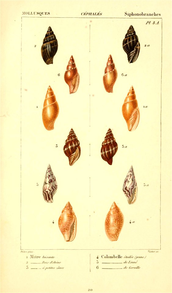 n404_w1150