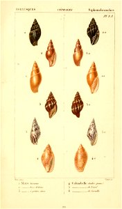 n404_w1150