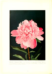 n127_w1150