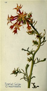 n651_w1150