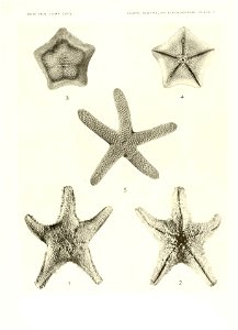 n698_w1150