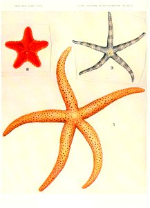 n658_w1150