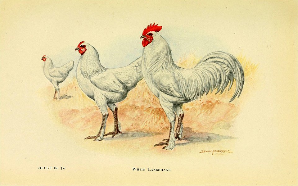 n412_w1150