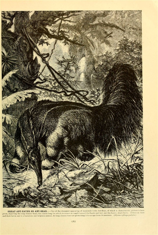 n404_w1150