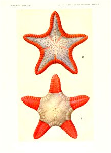 n634_w1150