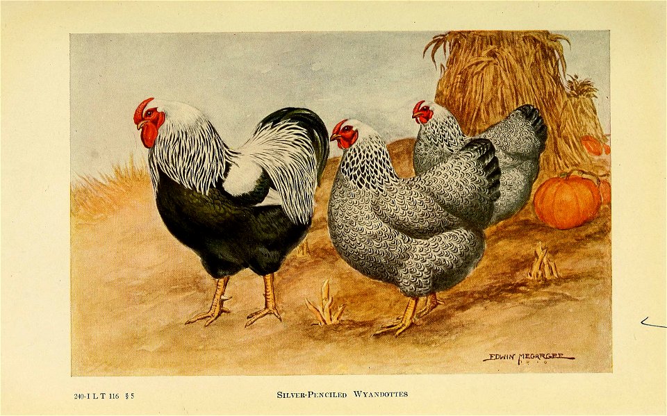 n324_w1150