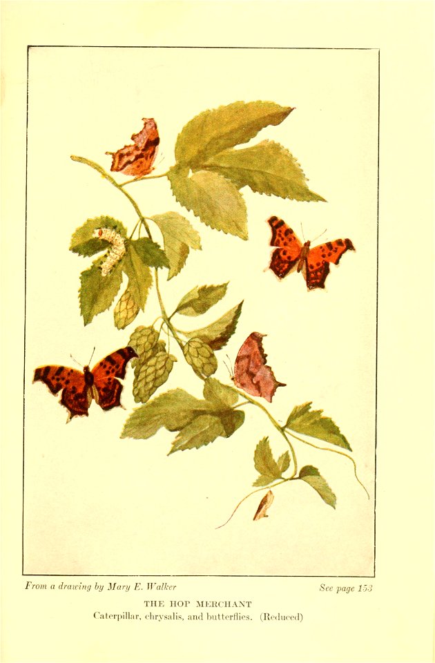 n192_w1150