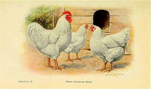 n292_w1150