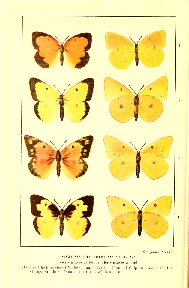 n157_w1150