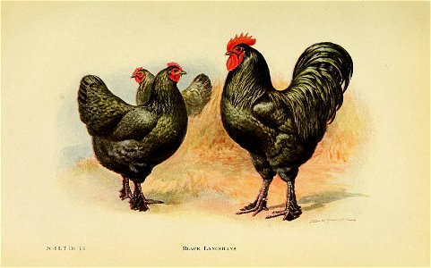 n408_w1150